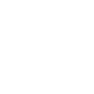 LX_logo_2021_White